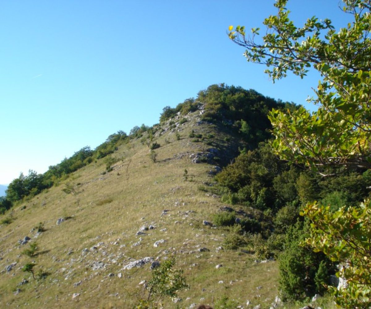 Inać
