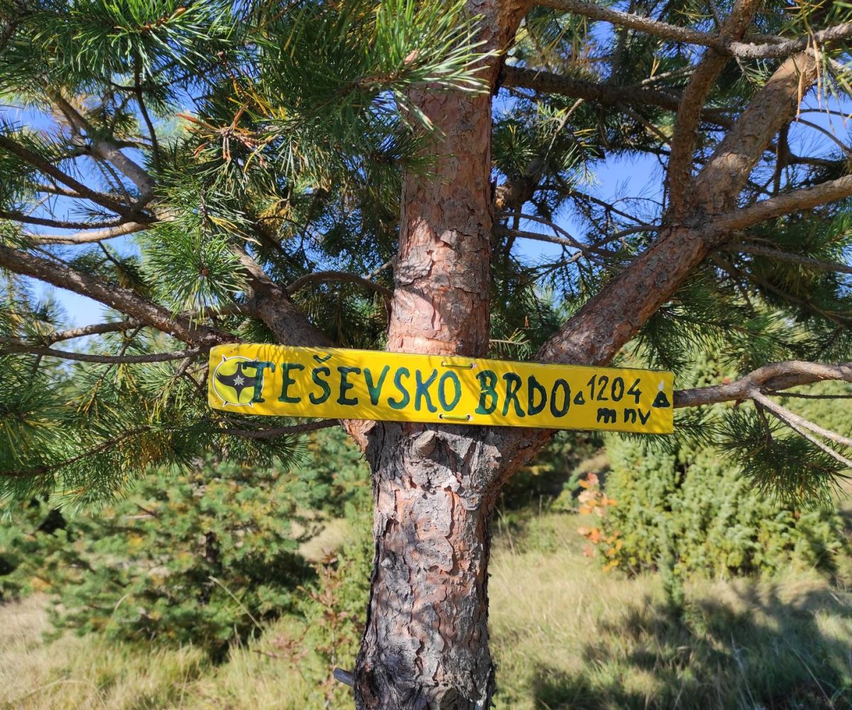 Teševsko Brdo