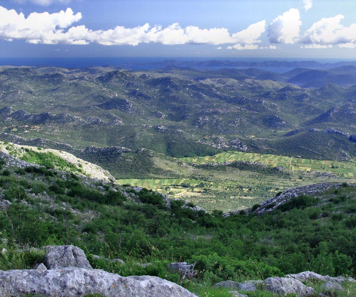 Zaba Sveti Ilija