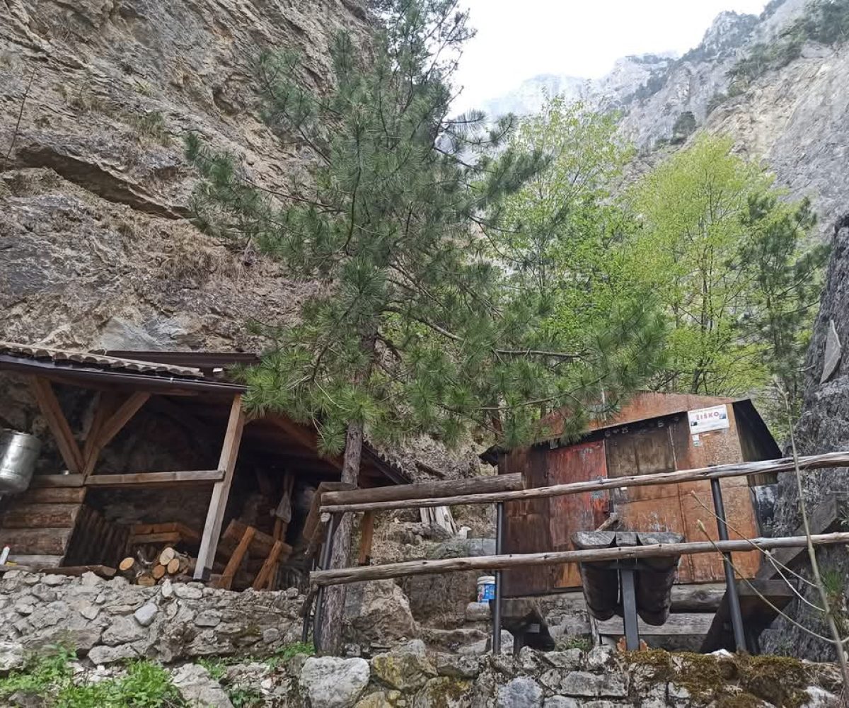 Zisko I Zli Potok,Cvrsnica