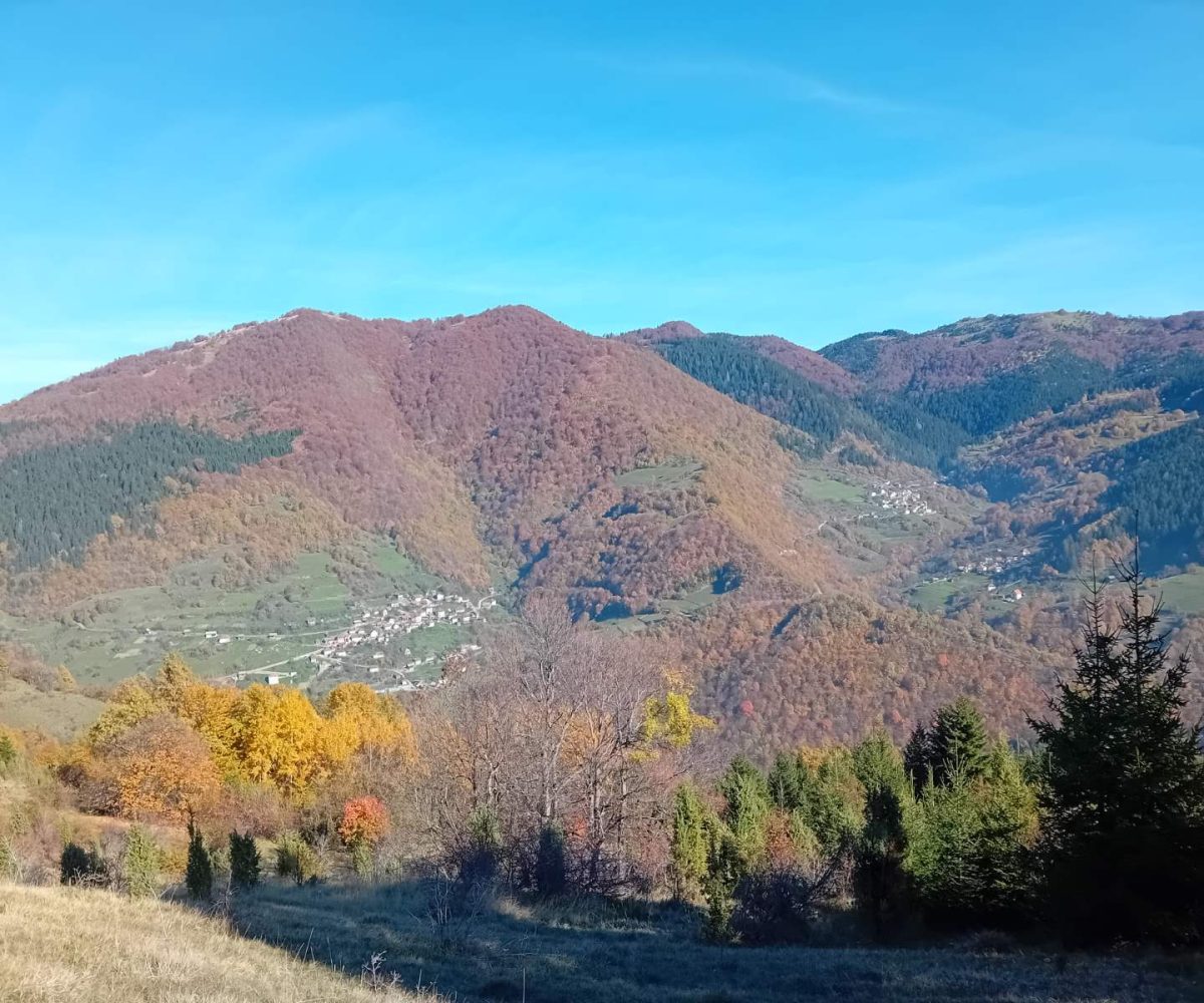 Bobovac