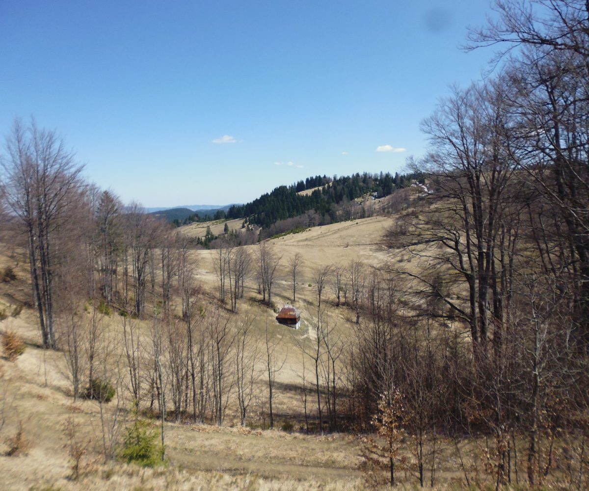 Perun