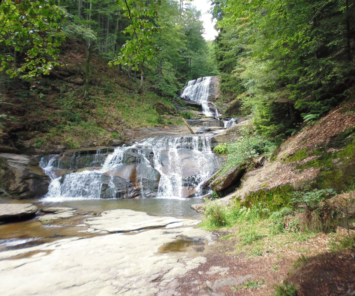 Slapovi Kozice